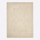 Reflected Origins Rug