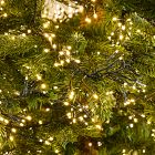 Pre-Lit Faux Monaco Pine Green Christmas Tree