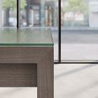 Marlon Glass Communal Table Top