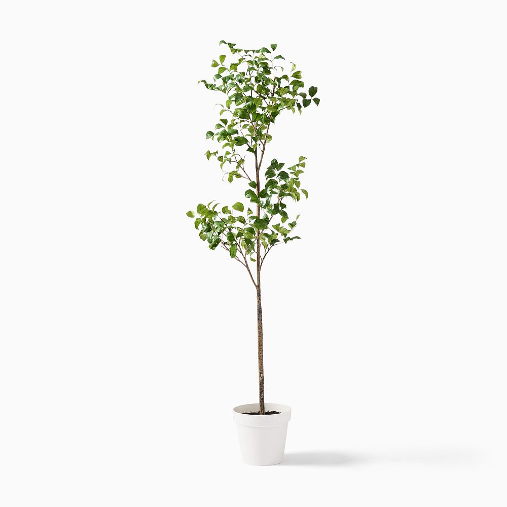 Faux Potted Snowball Tree - 6', Green