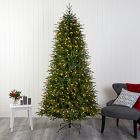 Pre-Lit Faux Vancouver Fir Christmas Tree (4'&ndash;8')