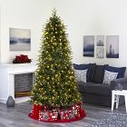 Pre-Lit Faux Vancouver Fir Christmas Tree (4'&ndash;8')