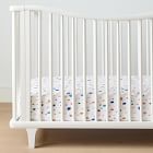 Abel Macias Painted Dot Crib Sheet