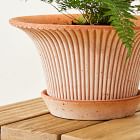 Bergs Daisy Indoor/Outdoor Tabletop Planters