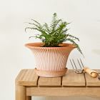 Bergs Daisy Indoor/Outdoor Tabletop Planters