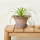 Bergs Daisy Indoor/Outdoor Tabletop Planters