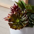 Faux Potted Succulent Arrangement