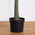 Faux Potted Eucalyptus Tree