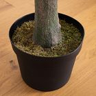 Faux Potted Eucalyptus Tree