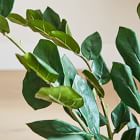 Faux Potted ZZ Plant