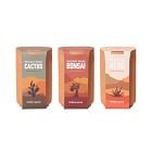 Modern Sprout Terracotta Assorted Grow Kit