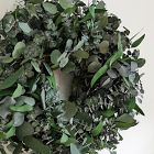 Dried Mixed Evergreen Eucalyptus Wreath