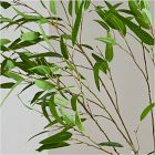 Faux Potted Eucalyptus Tree