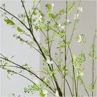 Faux Potted Mixed Botanicals Tree w/ Planter