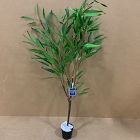 Open Box: Faux Potted Eucalyptus Tree