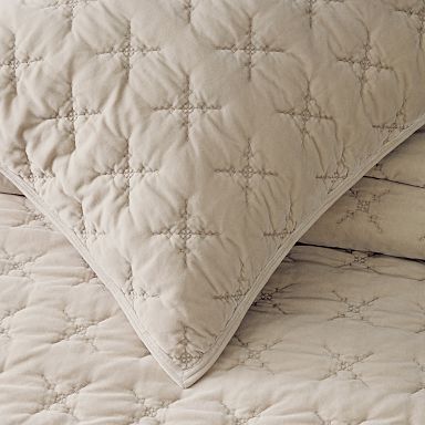 Embroidered Washed Velvet Shams