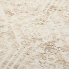 Reflected Emblem Performance Rug