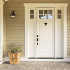 Animal Door Knockers