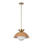 Daniel 1-Light Pendant (14.75")