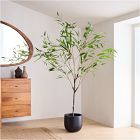 Faux Potted Eucalyptus Tree