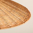 Keeley Woven Rattan Pendant (24.5")