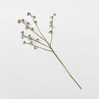 Faux Eucalyptus Pod Branch