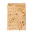 Rockwell Burl Wood Nightstand (22.5")