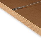 Living Colorfully IX Framed Wall Art by Alexandra Arata