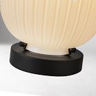 Caolan Table Lamp