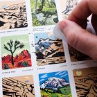 Native Maps National Parks Scratch-Off Print