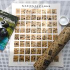Native Maps National Parks Scratch-Off Print