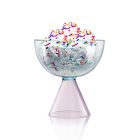 Venice Coupe Glasses (Set of 2)