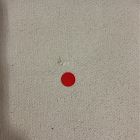 Open Box: Tulum Lounge Chair