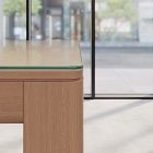 Maccoy Glass Communal Table Top