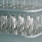 Silhouette Tea Glasses (Set of 4)