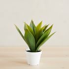 Faux Potted Agave Plant