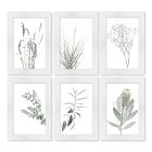 Soft Botanical Framed Wall Art