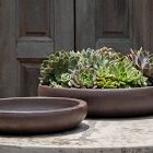 Nico Bowl (Set of 2)