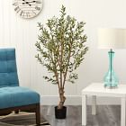 Faux Potted Olive Tree - 5'