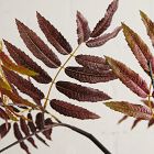 Faux Autumn Leaves Branch