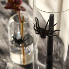Glass Spider Candleholders