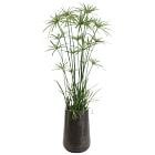 Faux Potted Cypress Grass Tree w/ Planter