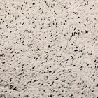 Soft Speckle Low-Shed Shag Rug