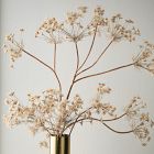 Faux Oversized Queen Anne's Lace Branch