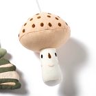 Pine Baby Gym &amp; Baby Gym Sensory Accessories