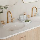 Isley Double Bathroom Vanity (60&quot;&ndash;72&quot;)