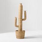 Woven Cactus
