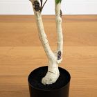 Faux Potted Birch Tree