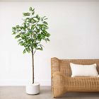 Faux Potted Greco Citrus Tree