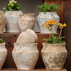 Urn Planters